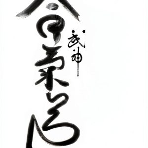 Aikido Kindle eBook by Amazon Enhanced Typesetting-0