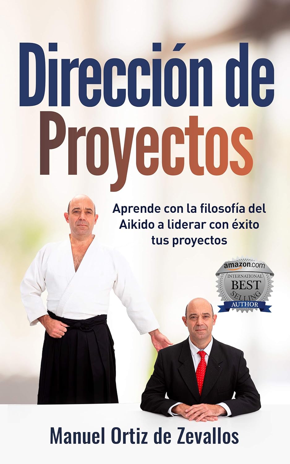 Business professional reading the Aikido consulting eBook on a tablet