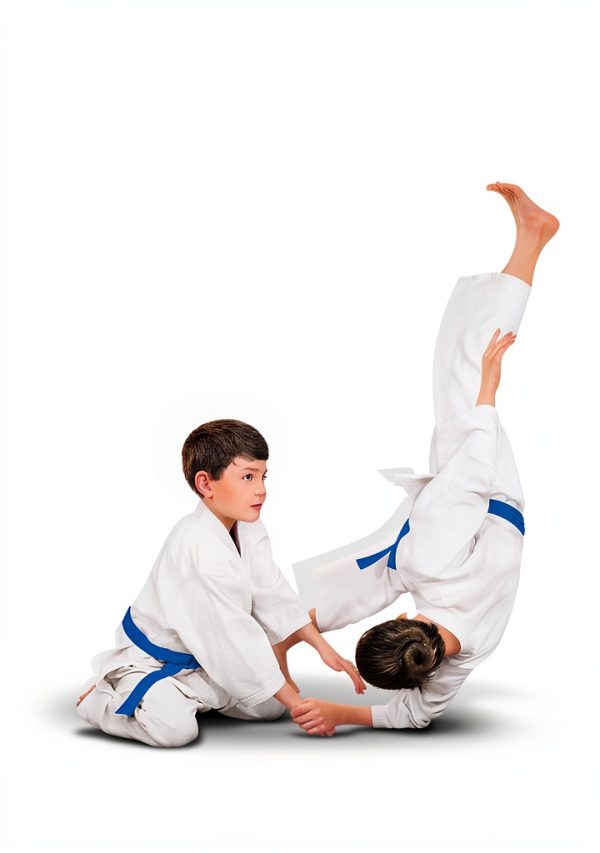 Aikido Mastery Kindle Edition by Aikido Press 632‑Page Print Replica-0